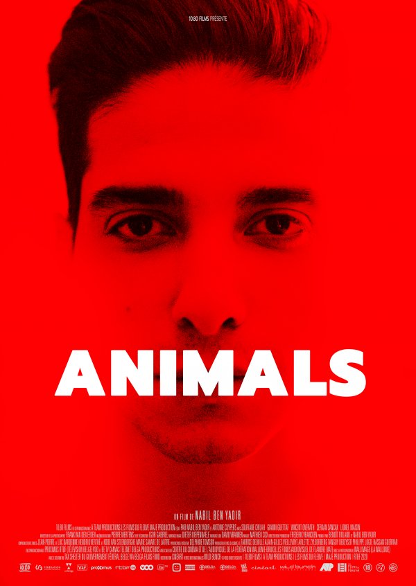 Plus qu’un film, une rencontre….<br>Animals de Nadil Ben Yadir